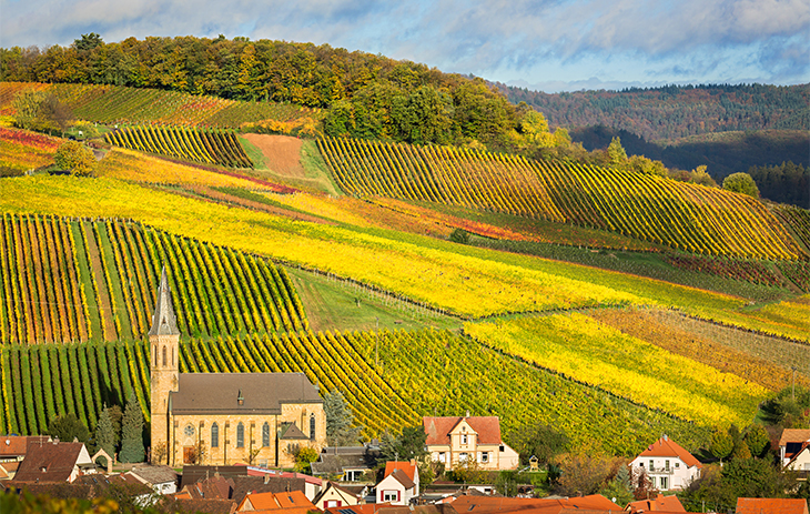 pfalz 0003 iStock 452421329 pfalz 0003 iStock 452421329 | Silkes Weinblatt