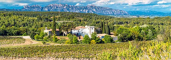 Weingut in grüner Landschaft vor Gebirge