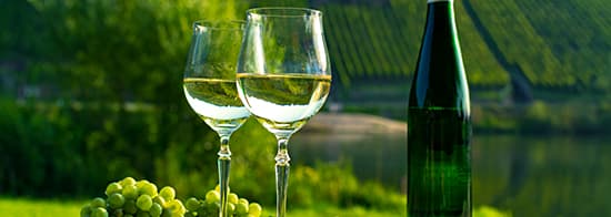 Zwei Gläser Weißwein vor Weinbergen