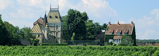 Weinberg mit kleine Gebäude im Hintergrund