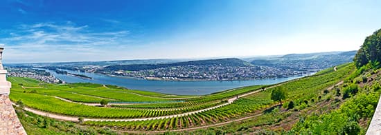 Weinbergslandschaft vor Fluss