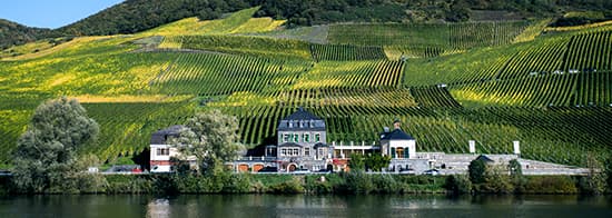 Weingut hinter Fluss vor Weinbergen