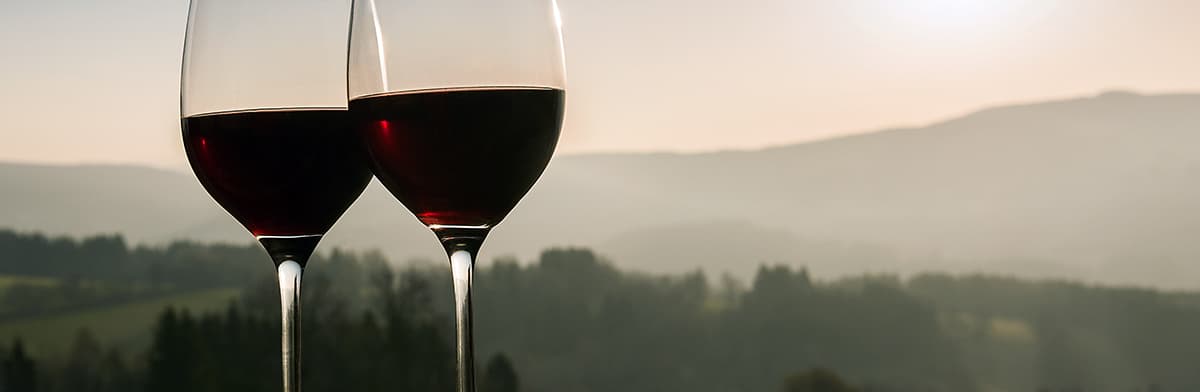 Zwei Gläser Merlot, im Hintergrund Weinberge