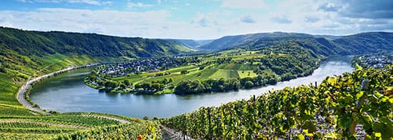 Panorama des Mosel Tals