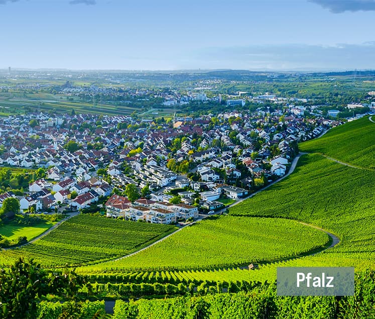 pfalz-wein