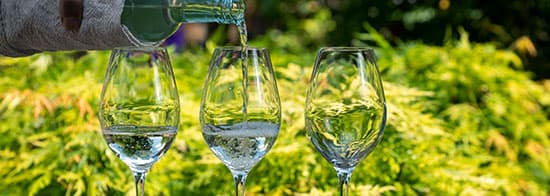 Weißwein wird in drei Gläser eingeschüttet