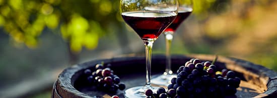 Zwei Weinkläser mit Pinot Noir gefüllt