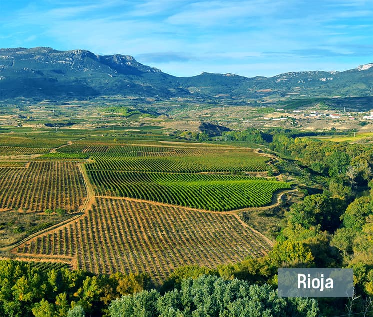 rioja-wein