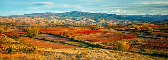 Weinbaugebiet Rioja