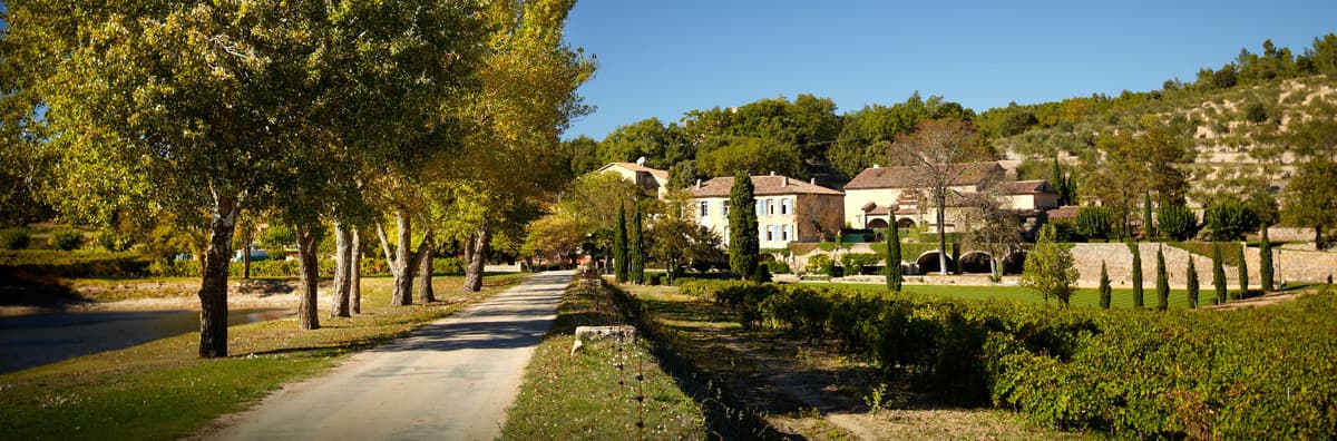 Zufahrt durch Bäume zum Haus