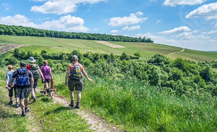 rotweinwanderweg-silkes-weinkeller