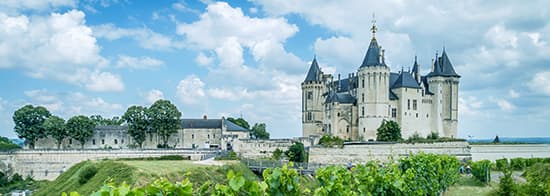 Loire Weinberge mit Burg im Hintergrund