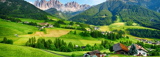 Weinberge in Südtirol