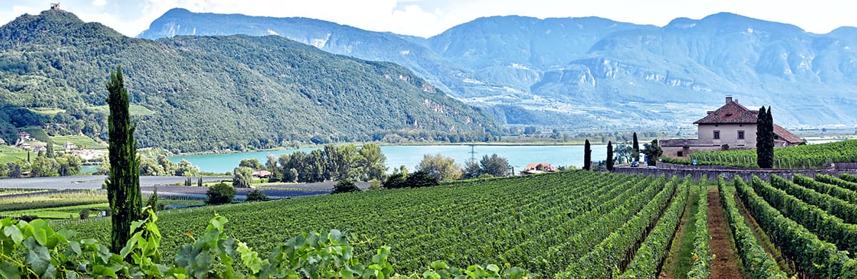 Weingut in der Toskana, mit Bergen und See im Hintergrund