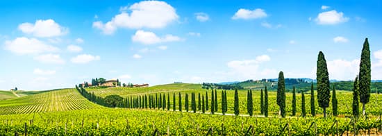 Weingut in der Toskana mit Weiten Rebflächen im Vordergrund