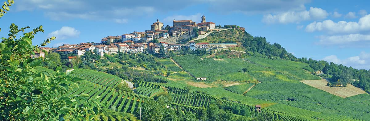 Weinberge in der Barolo-Region