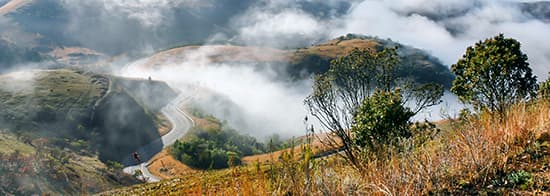 Hügelige Landschaft in Nebel