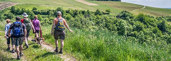 Menschen Wandern durch Weinberg