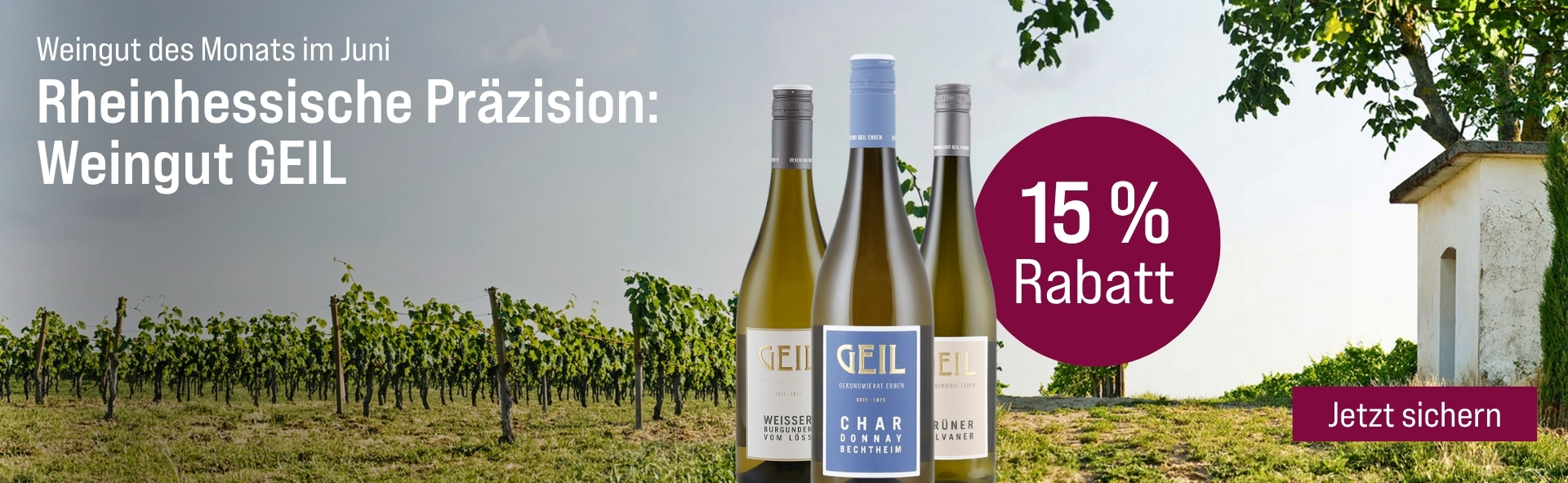 Silkes Weinkeller Weinaktion mit dem Slogan "Weingut des Monats im Juni. Rheinhessische Präzision: Weingut Geil". Im Hintergrund Weinreben und Wiese. Hinweis auf "15 % Rabatt". Unten Button "Jetzt sichern". Rechts drei Flaschen.