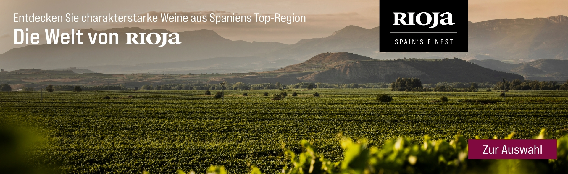 Silkes Weinkeller Weinaktion mit dem Slogan "Entdecken Sie charakterstarke Weine aus Spaniens Top-Region. Die Welt von Rioja". Im Hintergrund Berge, davor ein großes Feld voller Weinreben. Unten Button "Zur Auswahl".