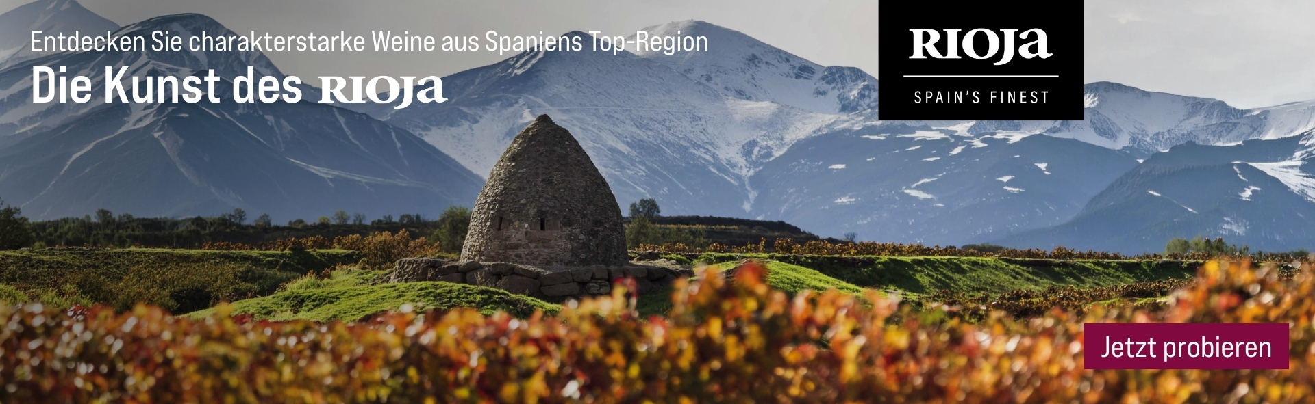Silkes Weinkeller Weinaktion mit dem Slogan "Entdecken Sie charakterstarke Weine aus Spaniens Top-Region. Die Kunst des Rioja". Im Hintergrund Berge, Wiesen und eine Steinhütte. Hinweis auf "Rioja. Spain's finest". Unten Button "Jetzt probieren". | KI-generiert