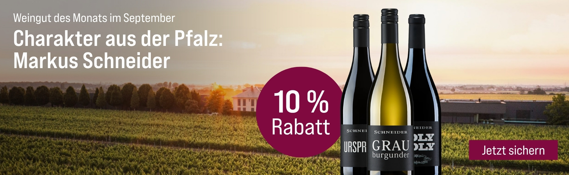 Silkes Weinkeller Weinaktion mit dem Slogan Weingut des Monats im September - Charakter aus der Pfalz: Markus Schneider". Im Hintergrund ein Feld mit Weinreben, darauf 3 Flaschen Markus Schneider Wein. Hinweis auf „10 % Rabatt". Button „Jetzt sichern". | KI-generiert