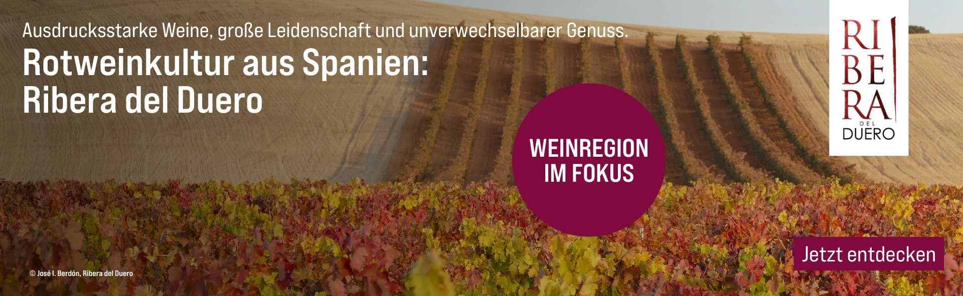 Silkes Weinkeller Weinaktion mit dem Slogan "Intensive Weine, große Leidenschaft und unverwechselbarer Genuss. Rotweinkultur aus Spanien: Ribera del Duero". Im Hintergrund Weinreben. Hinweis auf "Weinregion im Fokus". Unten Button "Jetzt entdecken". | KI-generiert