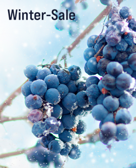 23/01 Winter Sale