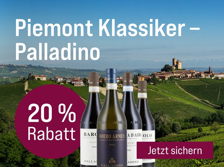 Silkes Weinkeller Weinaktion mit dem Slogan "Weingut des Monats. Piemont Klassiker - Palladino". Im Hintergrund eine Weingutslandschaft im Tageslicht. Hinweis auf "20 % Rabatt". Unten Button "Jetzt sichern". Mittig vier Flaschen.