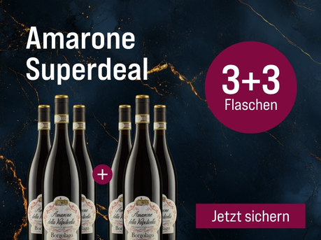 Silkes Weinkeller Weinaktion mit dem Slogan "Gratisaktion im Dezember. Amarone Superdeal". Blauer Hintergrund mit goldenen Akzenten, darauf abgebildet 6 Flaschen Wein. Hinweis auf "3+3 Flaschen". Unten Button "Jetzt sichern".