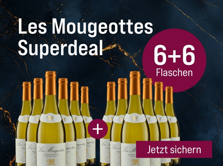Silkes Weinkeller Weinaktion mit dem Slogan "Gratisaktion im Februar. Les Mougeottes Superdeal". Blauer Hintergrund mit goldenen Akzenten, darauf abgebildet 12 Flaschen Wein. Hinweis auf "6+6 Flaschen". Unten Button "Jetzt sichern".