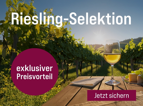 Silkes Weinkeller Weinaktion mit dem Slogan "Feinste Qualitäten jetzt zum Sonderpreis. Riesling-Selektion". Im Hintergrund Weinreben, davor ein Holztisch, auf dem ein Glas Weißwein steht. Hinweis auf "exklusiver Preisvorteil". Unten Button "Jetzt sichern"