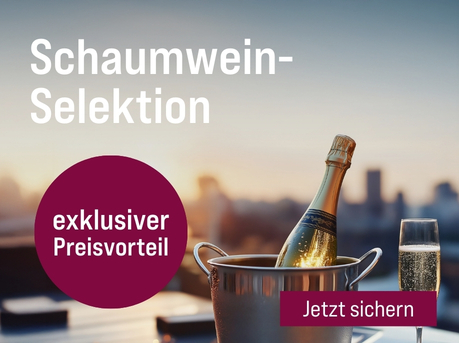 Silkes Weinkeller Weinaktion mit dem Slogan "Feinste Qualitäten jetzt zum Sonderpreis. Schaumwein-Selektion". Im Hintergrund eine Skyline, davor eine Flasche Schaumwein in einem Cooler. Hinweis auf "exklusiver Preisvorteil". Unten Button "Jetzt sichern".