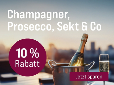 Silkes Weinkeller Weinaktion mit dem Slogan "Prickelnder Genuss. Champagner, Prosecco, Sekt & Co". Im Hintergrund eine Skyline, davor eine Flasche Schaumwein in einem Cooler. Hinweis auf "10 % Rabatt". Unten Button "Jetzt sparen".