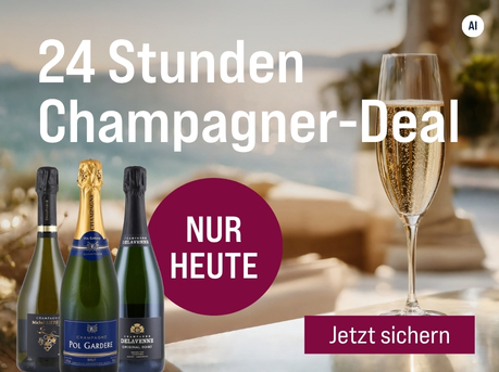 Silkes Weinkeller Weinaktion mit dem Slogan "Top-Champagner zum Vorteilspreis. 24 Stunden Champagner-Deal". Im Hintergrund ein Pool und das Meer, vorne ein Glas Champagner. Hinweis auf "Nur heute". Unten Button "Jetzt sichern". Mittig drei Flaschen. | KI-generiert