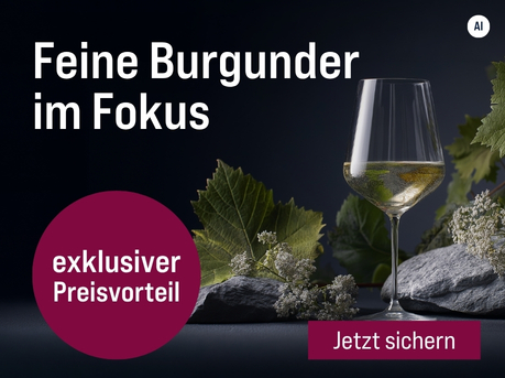Silkes Weinkeller Weinaktion mit dem Slogan "Für jede Gelegenheit. Feine Burgunder im Fokus". Im Hintergrund ein Glas Weißwein, dahinter Rebenblätter und graue Steine. Hinweis auf "exklusiver Preisvorteil". Unten Button "Jetzt sichern". | KI-generiert