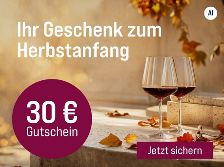 Silkes Weinkeller Weinaktion mit dem Slogan "Nur heute: Ihr Bonus ab 179 € Bestellwert. Ihr Geschenk zum Herbstanfang". Im Hintergrund zwei Gläser Rotwein und buntes Laub auf einer Steinplatte. Hinweis auf "30 € Gutschein". Unten Button "Jetzt sichern". | KI-generiert