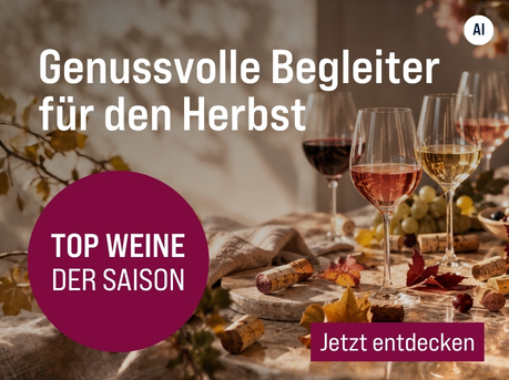 Silkes Weinkeller Weinaktion mit dem Slogan "Charaktervolle Weine für die genussvolle Jahreszeit. Genussvolle Begleiter für den Herbst". Im Hintergrund ein herbstliches Weinarrangement. Hinweis auf "Top Weine der Saison". Unten Button "Jetzt entdecken". | KI-generiert