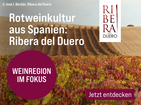 Silkes Weinkeller Weinaktion mit dem Slogan "Intensive Weine, große Leidenschaft und unverwechselbarer Genuss. Rotweinkultur aus Spanien: Ribera del Duero". Im Hintergrund Weinreben. Hinweis auf "Weinregion im Fokus". Unten Button "Jetzt entdecken". | KI-generiert