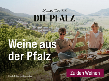 Silkes Weinkeller Weinaktion mit dem Slogan „Weine aus der Pfalz". Pfälzer Hügellandschaft, davor drei Personen an einem Holztisch mit Weingläsern und Snacks. Hinweis auf „Spitzenweine renommierter Pfälzer Weingüter". Button „Zu den Weinen