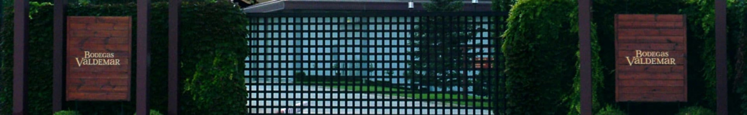 Bodegas Valdemar
