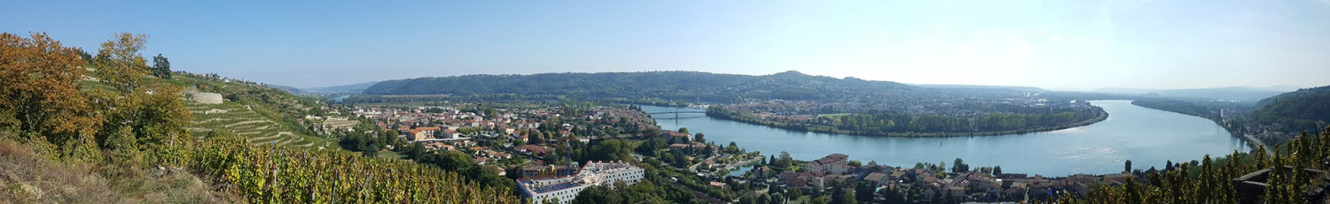 Rhône Weine