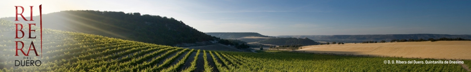 Ribera del Duero | KI-generiert