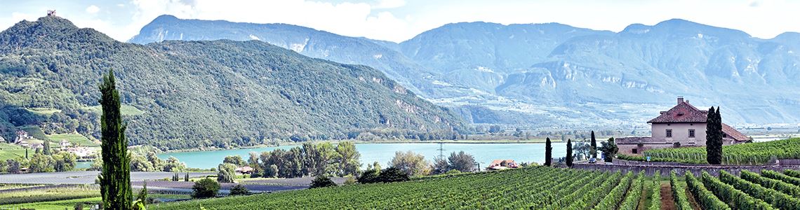 Südtirol - Alto Adige Weine