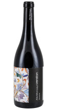 Alto Moncayo Veraton 2022