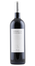 Castillo de Cuzcurrita Señorio de Cuzcurrita 2021 | KI-generiert