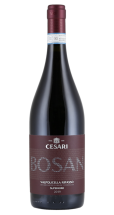 Cesari Bosan Valpolicella Ripasso Superiore  2019