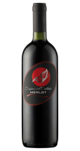 Gino Brisotto Merlot delle Venezie IGT 2024