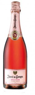 Juvé & Camps Cava Rosé Pinot Noir Brut