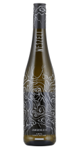 Weszeli Langenlois Kamptal Grüner Veltliner 2024